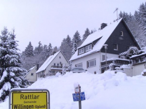 Apartment with private terrace Willingen